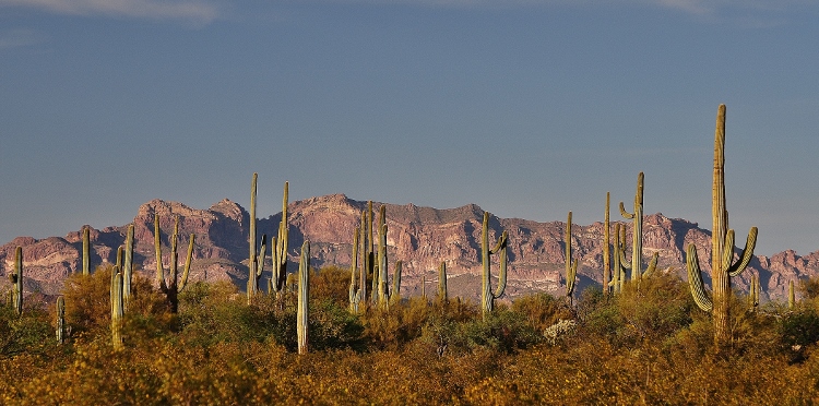 Senita Basin